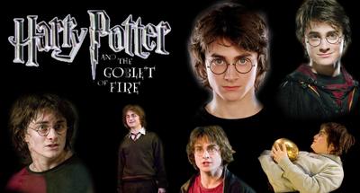 Multi Harry